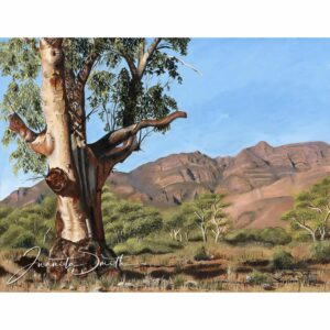 Flinders Ranges painting